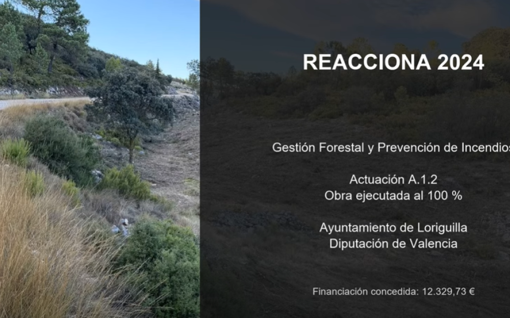 CONCLUIDAS LAS OBRAS DE GESTIÓN FORESTAL EN DEFENSA CONTRA INCENDIOS FORESTALES (PLAN REACCIONA 2024)