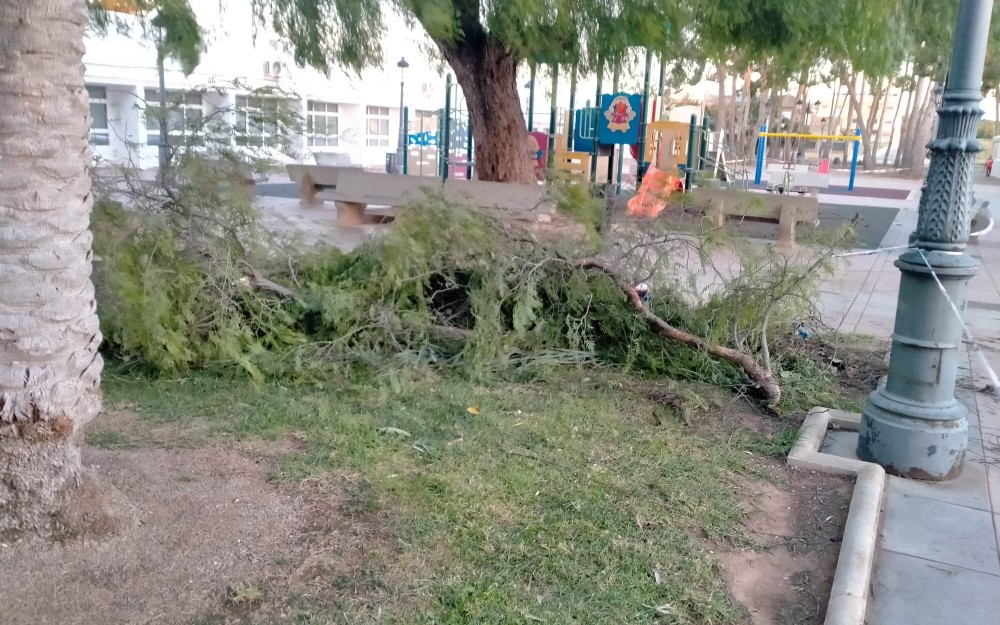 Temporal en Loriguilla (3)