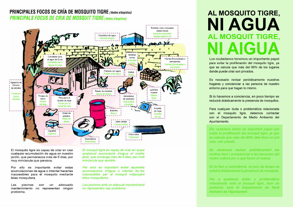 Díptico del Ayuntamiento de Loriguilla para la prevención del mosquito tigre